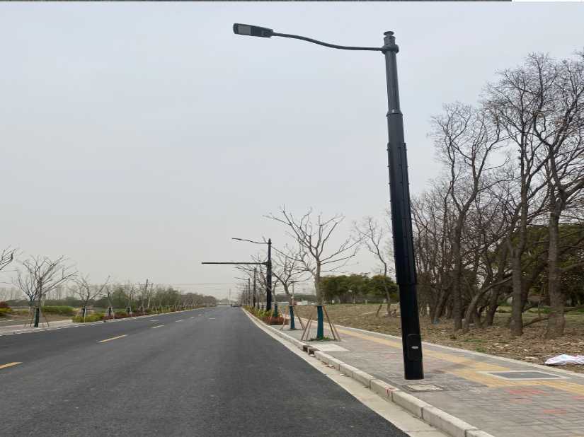 嘉黎县上海综合杆 太阳能路灯工程